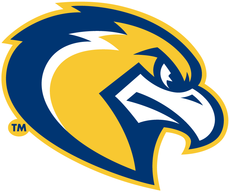 Marquette Golden Eagles 2005-Pres Alternate Logo iron on transfers for T-shirts